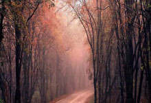 走进朋友武汉桑拿体验历程,探寻快节奏下身心放松地