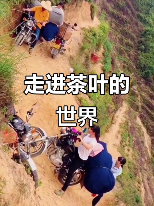 武汉品茶贴吧论坛2020_武汉品茶喝茶_武汉品茶体验