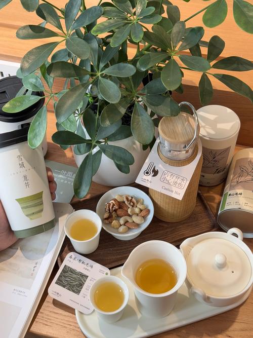 武汉品茶app_武汉哪里有服务好的品茶_武汉品茶喝茶